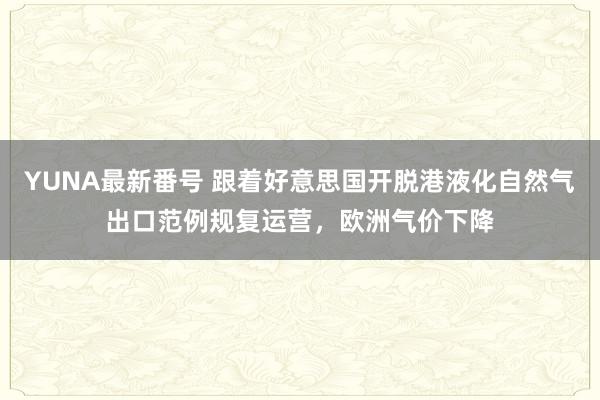 YUNA最新番号 跟着好意思国开脱港液化自然气出口范例规复运营，欧洲气价下降