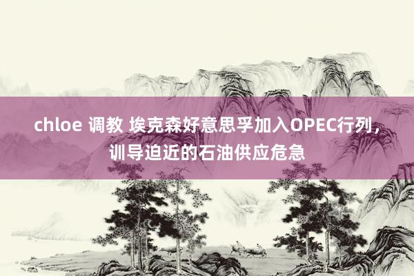 chloe 调教 埃克森好意思孚加入OPEC行列，训导迫近的石油供应危急