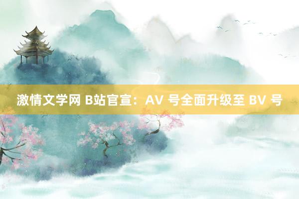 激情文学网 B站官宣：AV 号全面升级至 BV 号