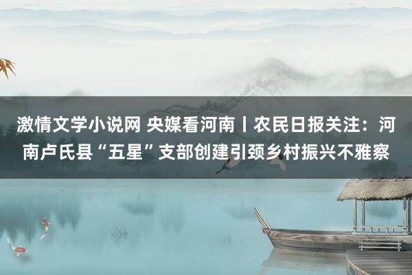 激情文学小说网 央媒看河南丨农民日报关注：河南卢氏县“五星”支部创建引颈乡村振兴不雅察