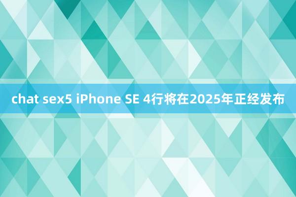 chat sex5 iPhone SE 4行将在2025年正经发布